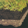 ICOFLOR®-Gittermatte- STLB-Bau Mustervorlage -
